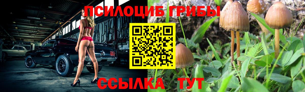 Псилоцибиновые грибы мухоморы Сыктывкар